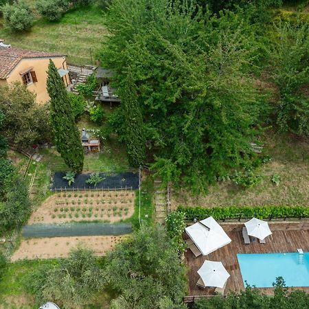 La Casa Sui Colli Villa Uzzano Luaran gambar