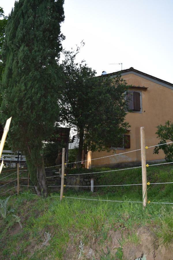 La Casa Sui Colli Villa Uzzano Luaran gambar