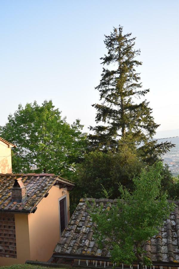 La Casa Sui Colli Villa Uzzano Luaran gambar